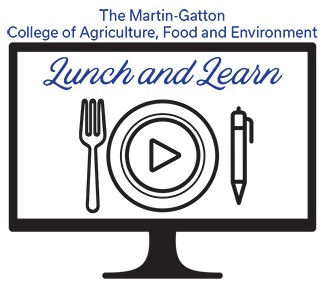 Lunch and Learn